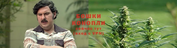 ешки Медвежьегорск